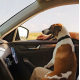 Bluetooth-ресивер UGREEN Car Bluetooth Audio Receiver