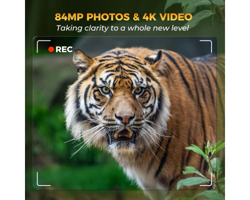 Фотопастка для дикої природи HD 4K 84MP Sovonix