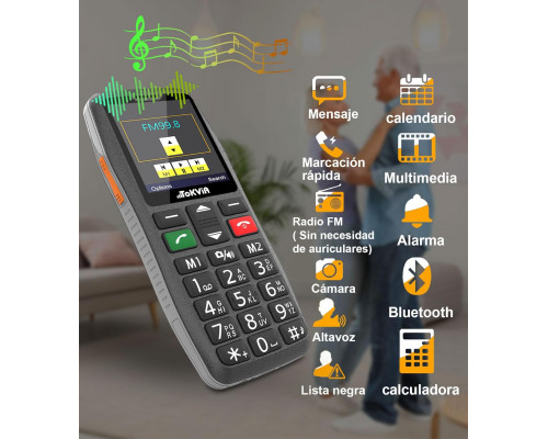 Мобільний телефон T102 TOKVIA