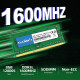 Оперативна пам'ять TECMIYO 1RX8 PC3L 12800S 8 ГБ DDR3 1600 RAM (1X8 ГБ) 1,35 В/1,5 В PC3-12800s DDR3 1600 МГц SODIMM CL11 без ECC