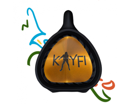 Портативная колонка Kayfi 60W RMS boombox с Kaybag