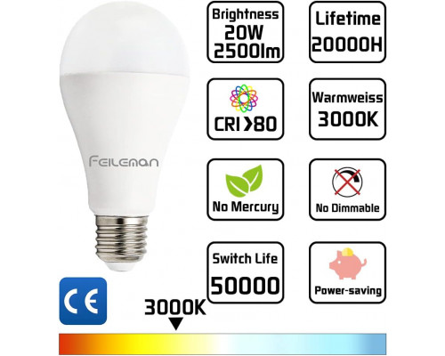 Світлодіодна лампа Edison A65