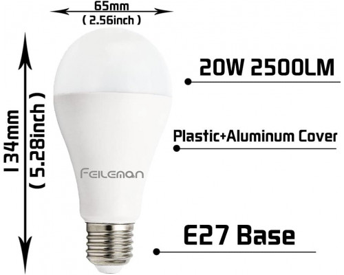 Світлодіодна лампа Edison A65