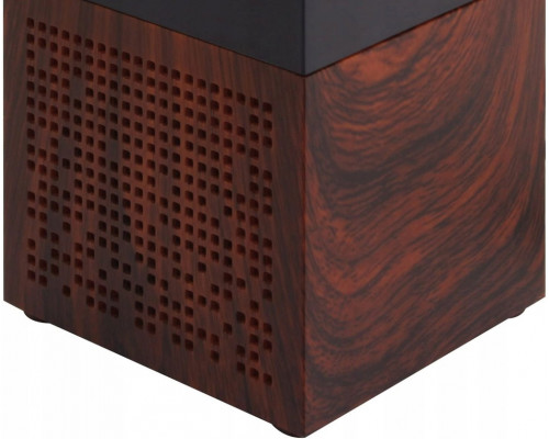 Цифрове радіо Soundmaster UR210BR